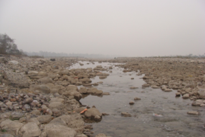 River Song (Doon Valley): Upstream section at Doiwala, a favourite dwelling site for Barilius sp. along with others like Channa, Amblyceps, Glyptothorax, Garra, Tor sp.etc.