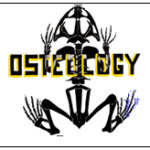 OSTELLOGY