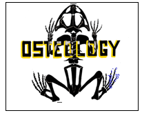 OSTELLOGY