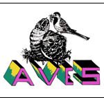 AVES