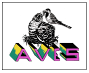 AVES