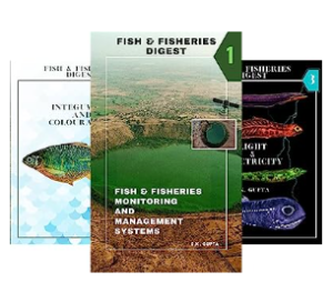 Books in bundle-Image